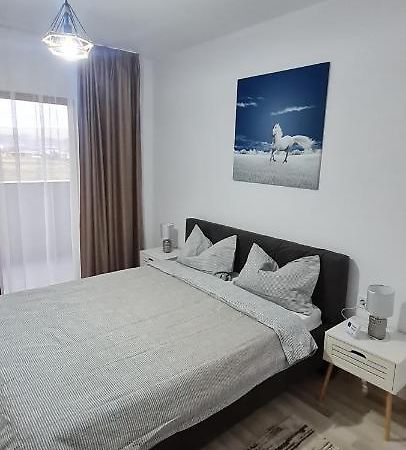 La Andrei Apartment Bistriţa Екстериор снимка
