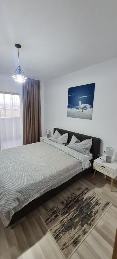 La Andrei Apartment Bistriţa Екстериор снимка